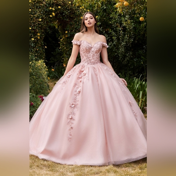 Prom dress - Picture 1 of 12